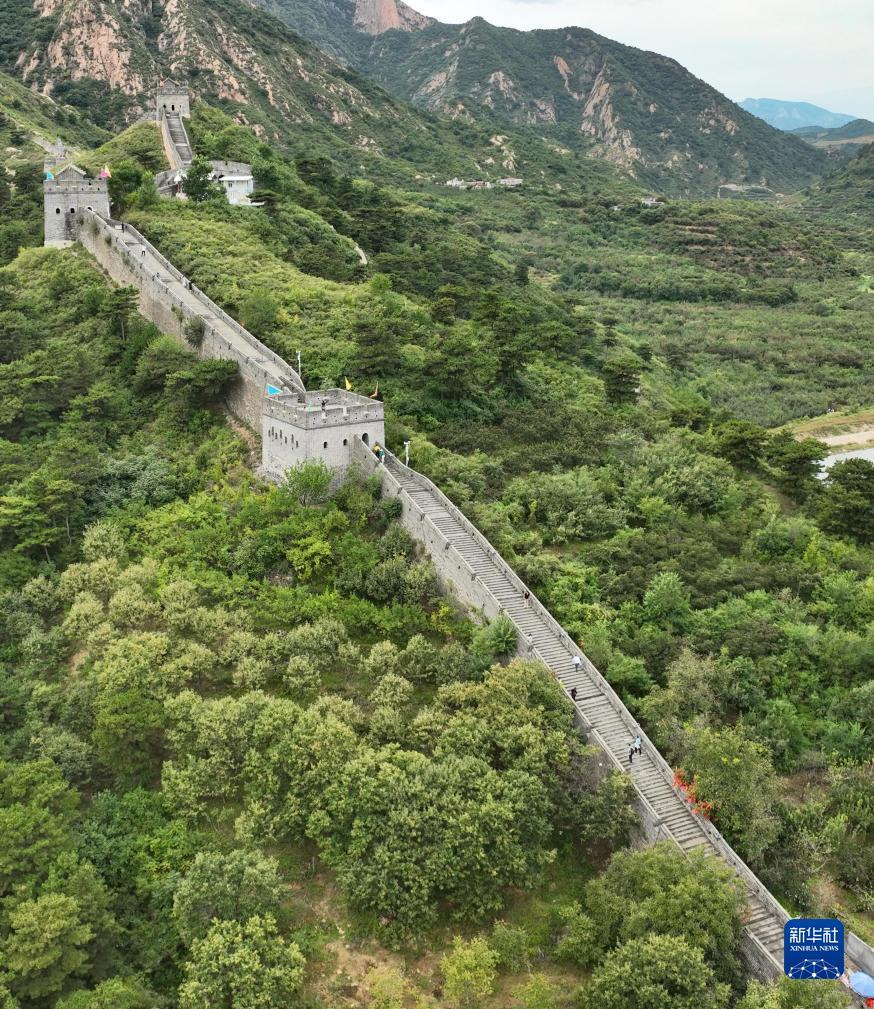 bbin软件下载